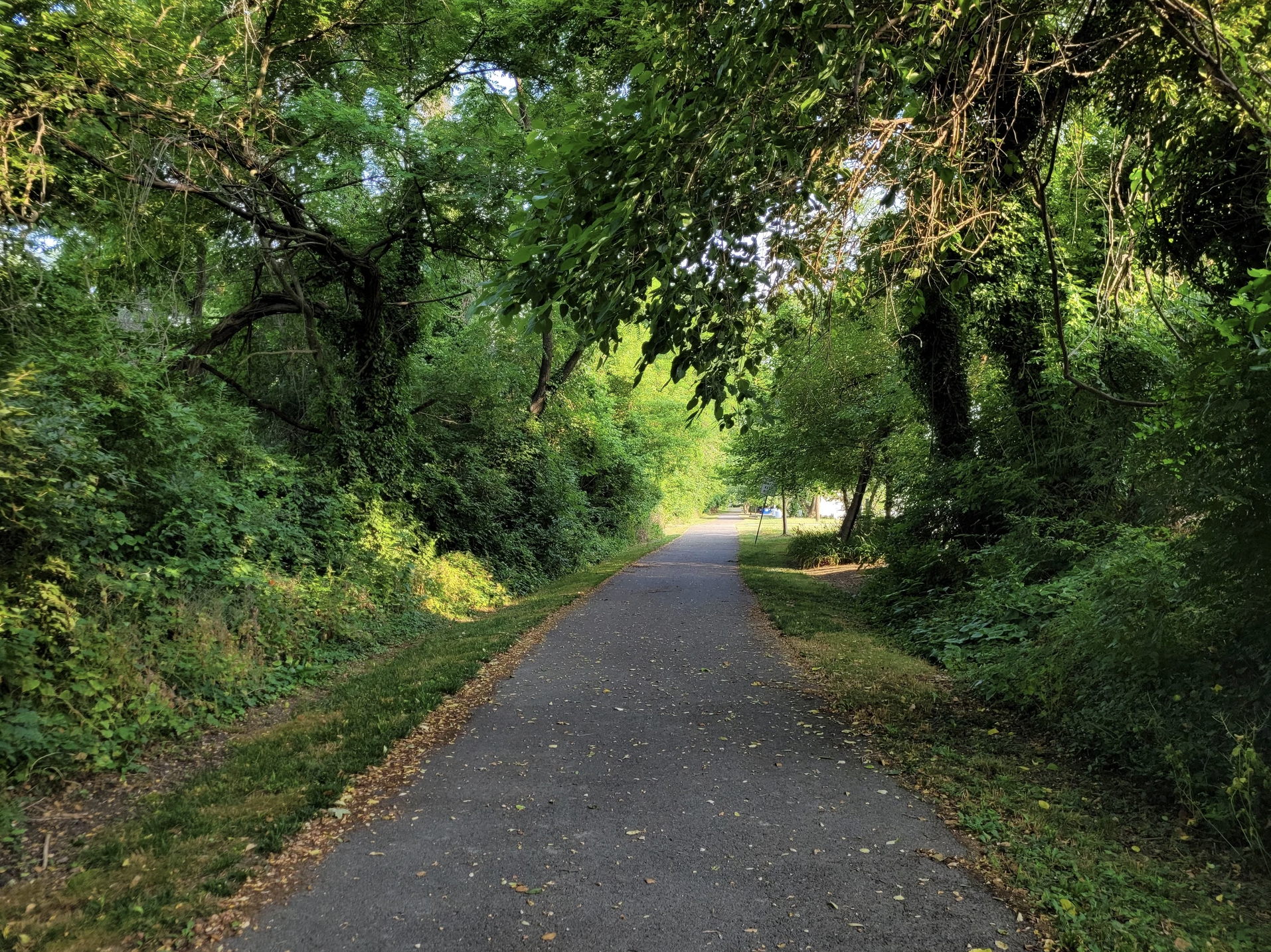 Gilchrest Rail Trail in Chestertown Maryland